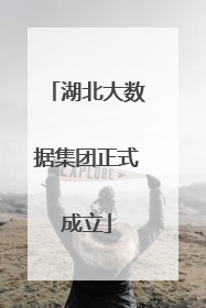 湖北大数据集团正式成立