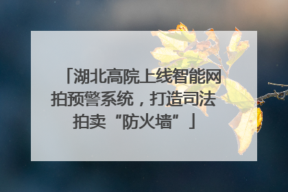湖北高院上线智能网拍预警系统，打造司法拍卖“防火墙”