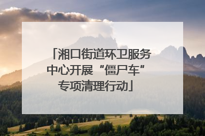 湘口街道环卫服务中心开展“僵尸车”专项清理行动