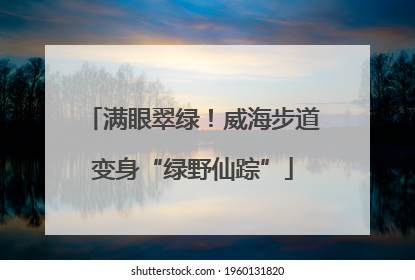 满眼翠绿！威海步道变身“绿野仙踪”