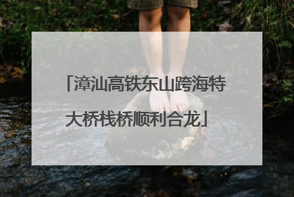 漳汕高铁东山跨海特大桥栈桥顺利合龙