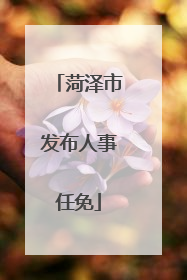 菏泽市发布人事任免