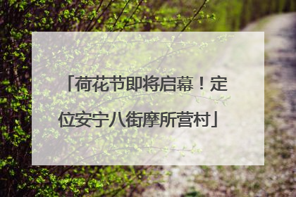 荷花节即将启幕！定位安宁八街摩所营村