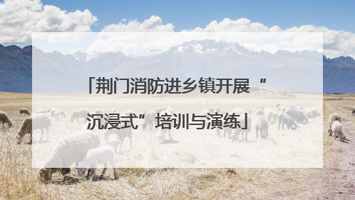 荆门消防进乡镇开展“沉浸式”培训与演练