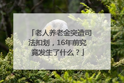 老人养老金突遭司法扣划，16年前究竟发生了什么？