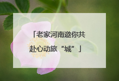老家河南邀你共赴心动旅“城”