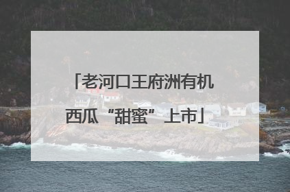 老河口王府洲有机西瓜“甜蜜”上市