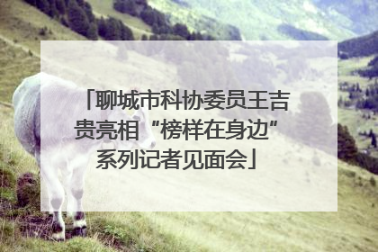 聊城市科协委员王吉贵亮相“榜样在身边”系列记者见面会