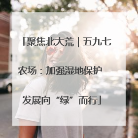 聚焦北大荒｜五九七农场：加强湿地保护 发展向“绿”而行