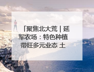 聚焦北大荒｜延军农场：特色种植带旺多元业态 土地焕发新活力
