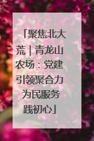 聚焦北大荒｜青龙山农场：党建引领聚合力 为民服务践初心