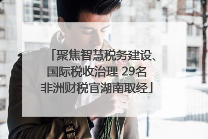 聚焦智慧税务建设、国际税收治理 29名非洲财税官湖南取经