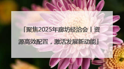 聚焦2025年廊坊经洽会丨资源高效配置，激活发展新动能