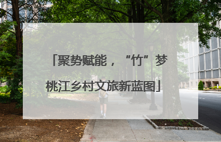 聚势赋能，“竹”梦桃江乡村文旅新蓝图