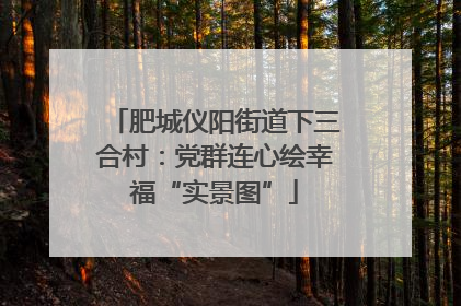 肥城仪阳街道下三合村：党群连心绘幸福“实景图”