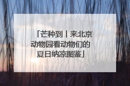 芒种到丨来北京动物园看动物们的夏日纳凉图鉴