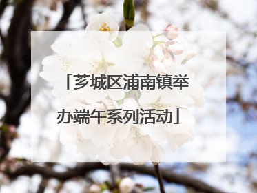 芗城区浦南镇举办端午系列活动