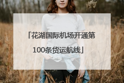 花湖国际机场开通第100条货运航线