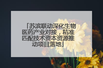 苏滨联动深化生物医药产业对接，精准匹配技术资本资源推动项目落地