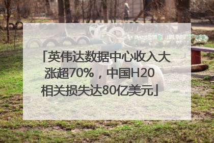 英伟达数据中心收入大涨超70%，中国H20相关损失达80亿美元