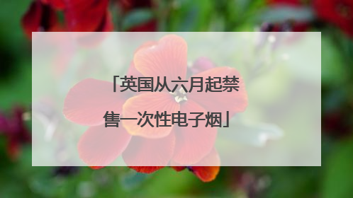 英国从六月起禁售一次性电子烟