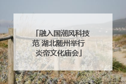 融入国潮风科技范 湖北随州举行炎帝文化庙会