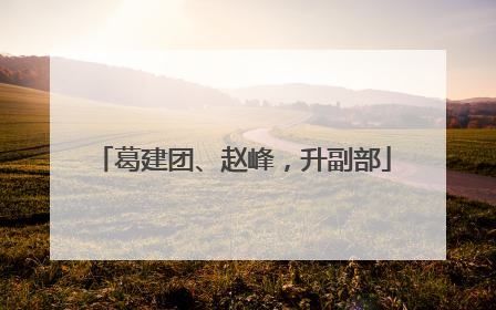 葛建团、赵峰，升副部