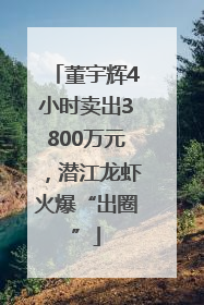 董宇辉4小时卖出3800万元，潜江龙虾火爆“出圈”
