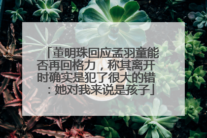 董明珠回应孟羽童能否再回格力，称其离开时确实是犯了很大的错：她对我来说是孩子