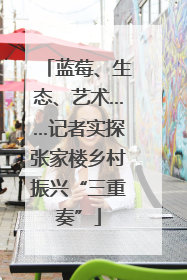 蓝莓、生态、艺术……记者实探张家楼乡村振兴“三重奏”