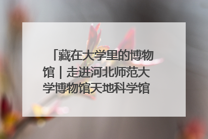 藏在大学里的博物馆｜走进河北师范大学博物馆天地科学馆：在校园里赴一场“宇宙之约”