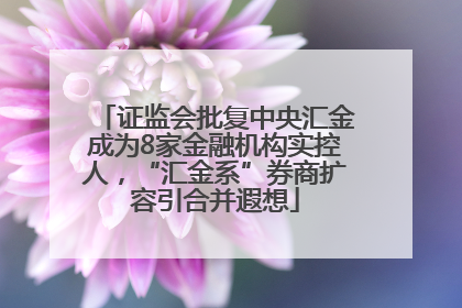 证监会批复中央汇金成为8家金融机构实控人，“汇金系”券商扩容引合并遐想