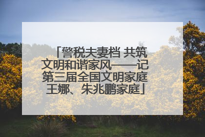 警税夫妻档 共筑文明和谐家风——记第三届全国文明家庭王娜、朱兆鹏家庭