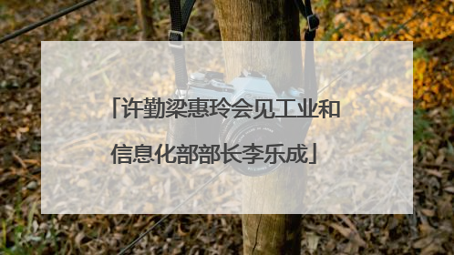 许勤梁惠玲会见工业和信息化部部长李乐成