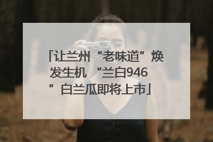 让兰州“老味道”焕发生机 “兰白946”白兰瓜即将上市