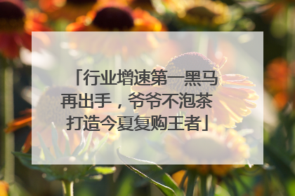 行业增速第一黑马再出手，爷爷不泡茶打造今夏复购王者