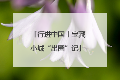 行进中国丨宝藏小城“出圈”记