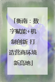 衡南：数字赋能+机制创新 打造营商环境新高地