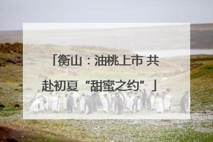 衡山：油桃上市 共赴初夏“甜蜜之约”