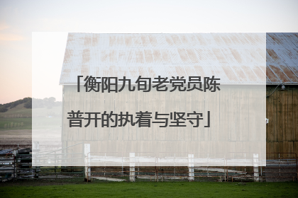 衡阳九旬老党员陈普开的执着与坚守