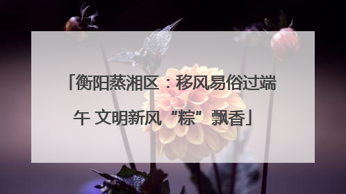 衡阳蒸湘区：移风易俗过端午 文明新风“粽”飘香