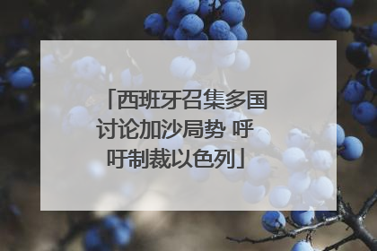 西班牙召集多国讨论加沙局势 呼吁制裁以色列