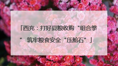 西充：打好夏粮收购“组合拳” 筑牢粮食安全“压舱石”