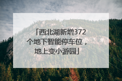 西北湖新增372个地下智能停车位，地上变小游园