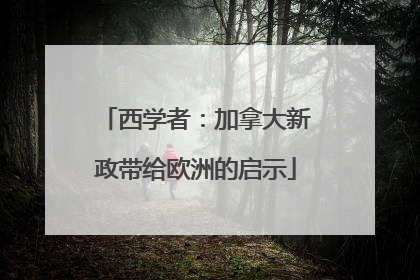 西学者：加拿大新政带给欧洲的启示