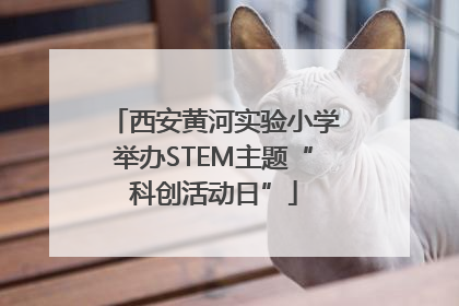 西安黄河实验小学举办STEM主题“科创活动日”