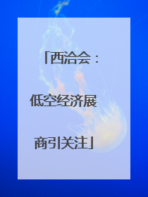 西洽会：低空经济展商引关注