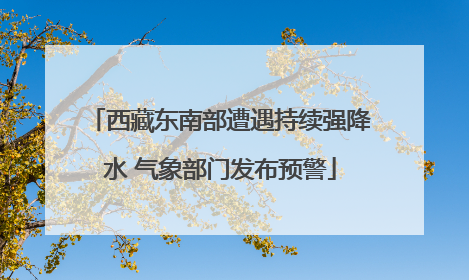 西藏东南部遭遇持续强降水 气象部门发布预警
