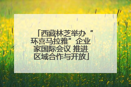西藏林芝举办“环喜马拉雅”企业家国际会议 推进区域合作与开放
