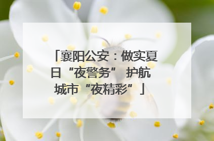 襄阳公安：做实夏日“夜警务” 护航城市“夜精彩”